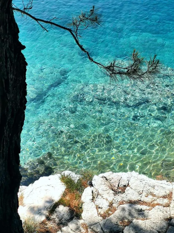 Apartmani Andrea Pula Kroatien